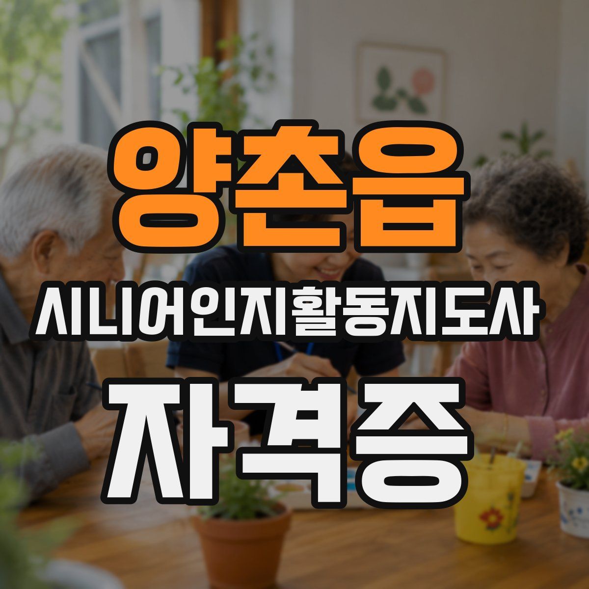 양촌읍 시니어인지활동지도사 자격증