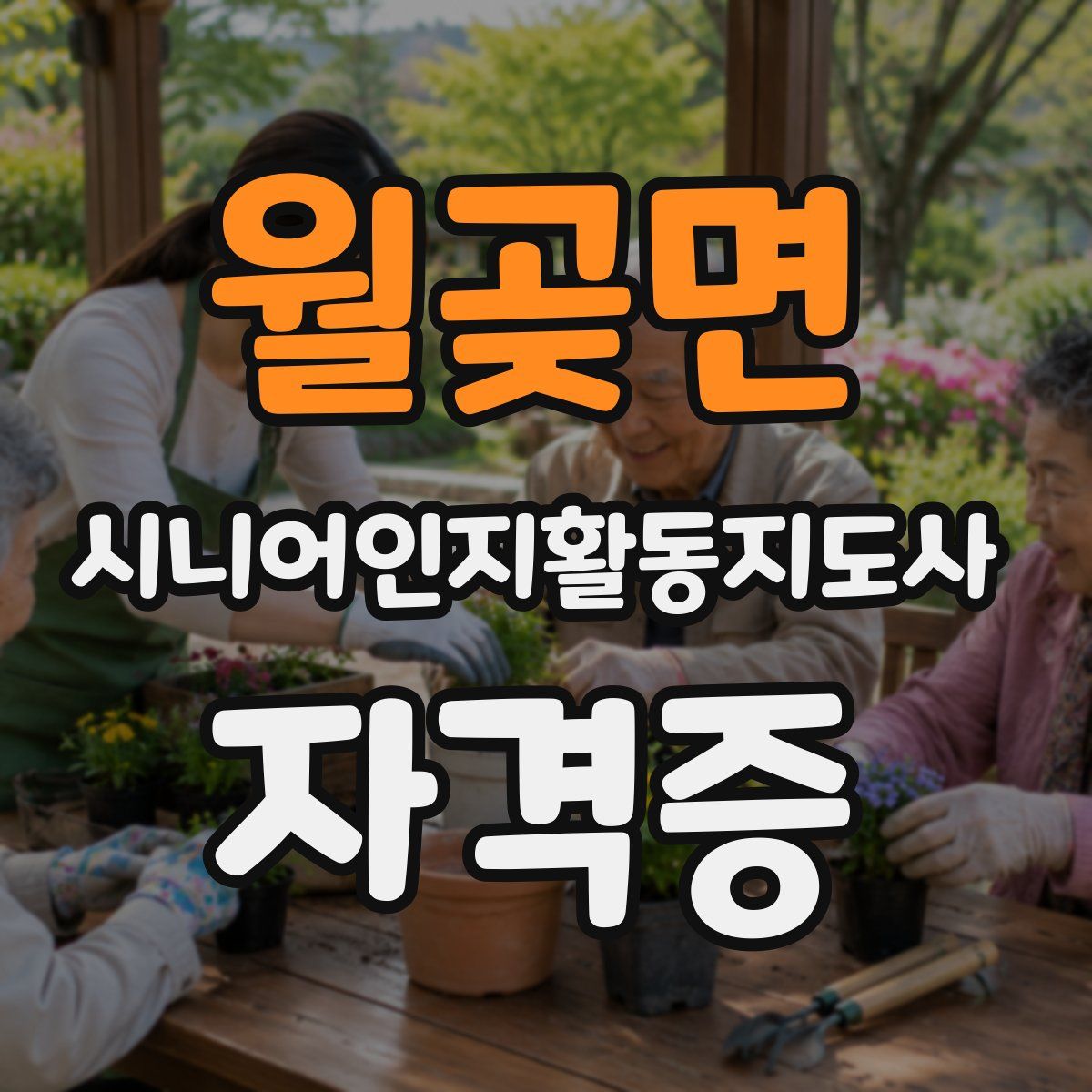 월곶면 시니어인지활동지도사 자격증