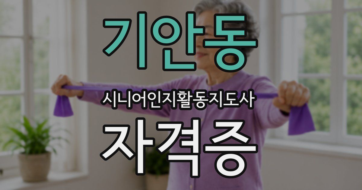 기안동 시니어인지활동지도사 자격증