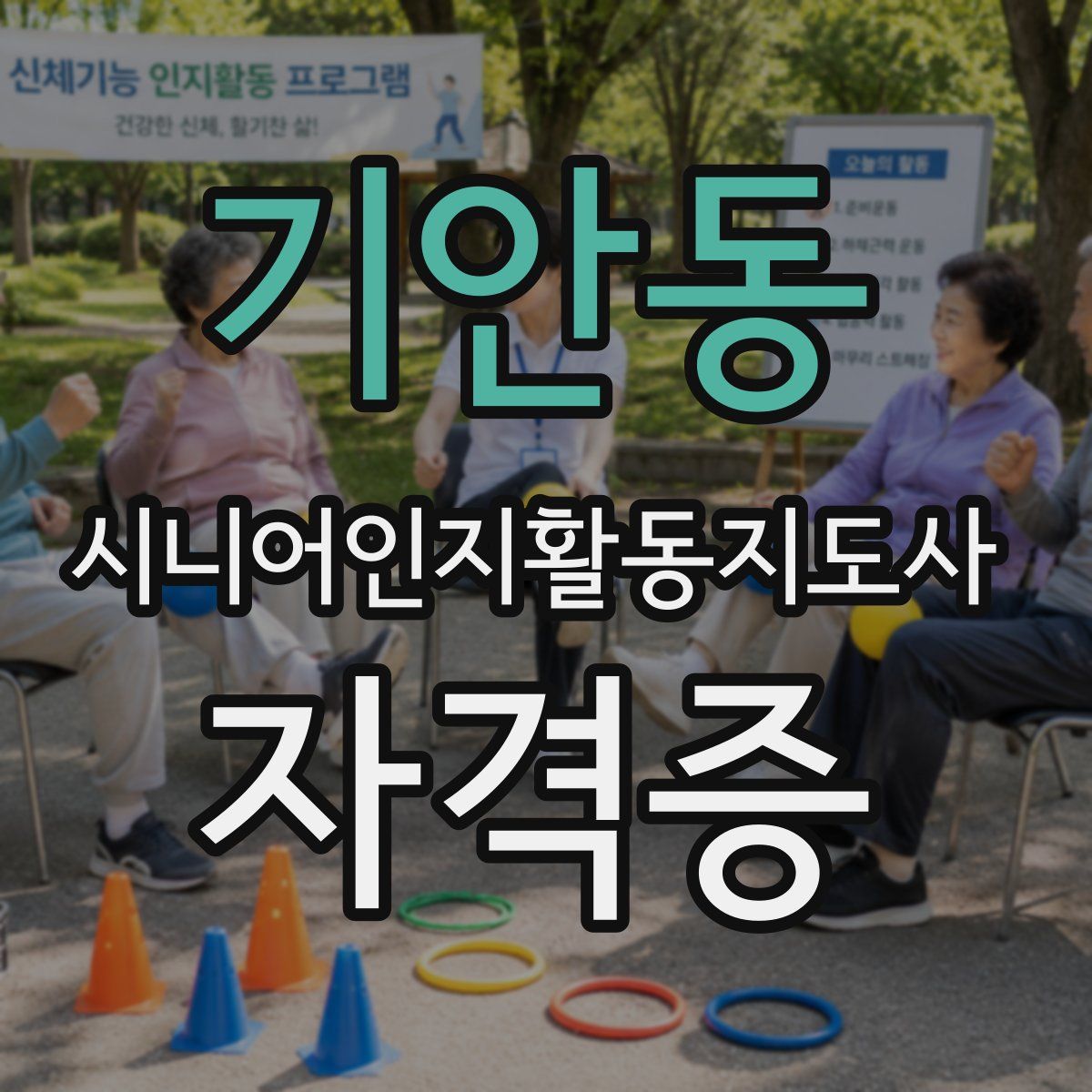 기안동 시니어인지활동지도사 자격증