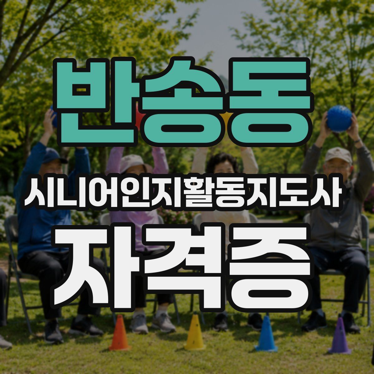 반송동 시니어인지활동지도사 자격증
