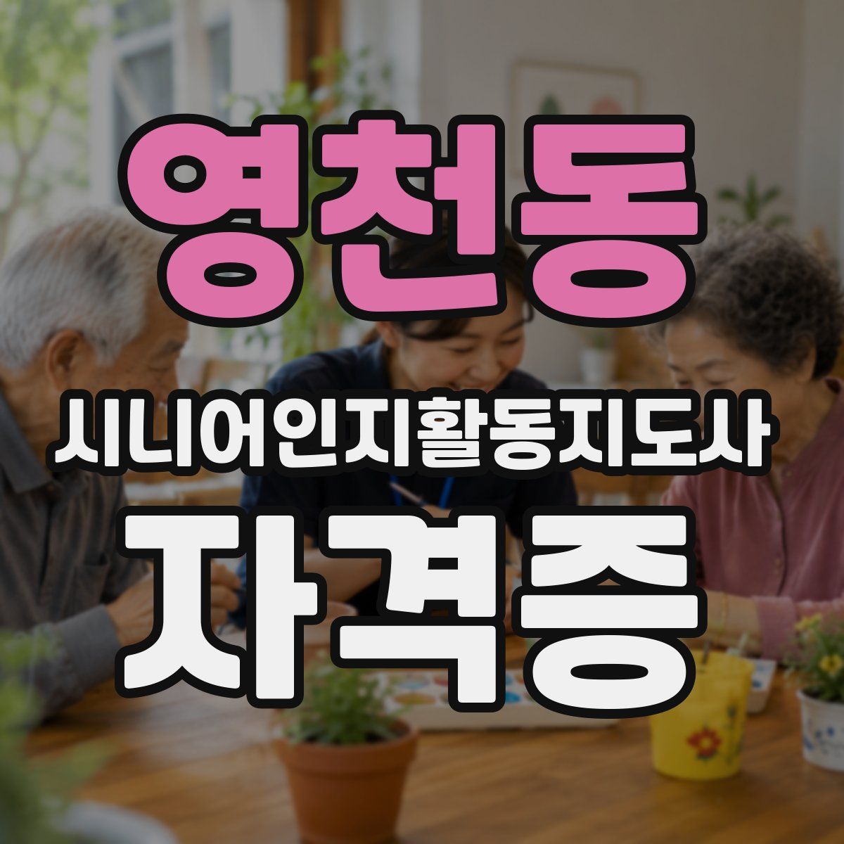 영천동 시니어인지활동지도사 자격증