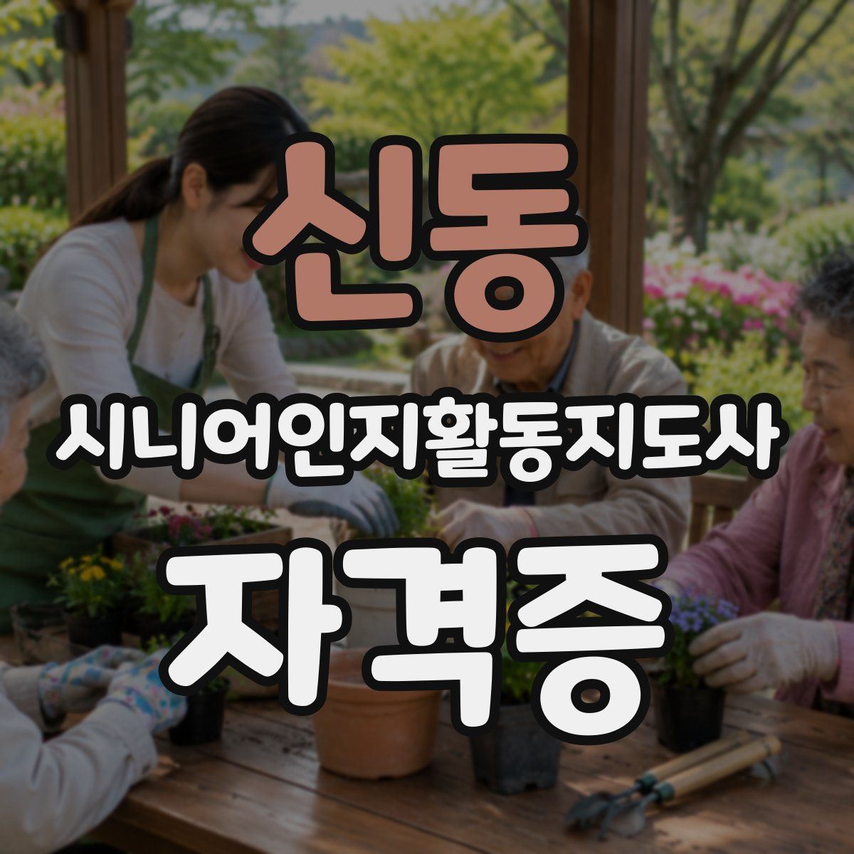 신동 시니어인지활동지도사 자격증