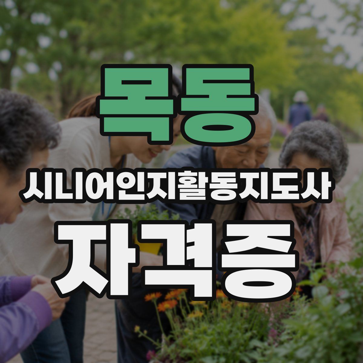 목동 시니어인지활동지도사 자격증