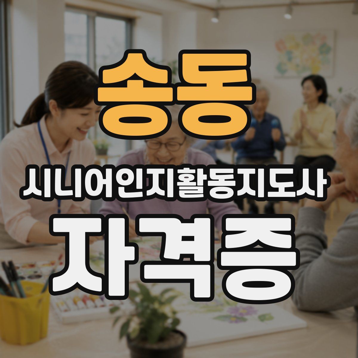 송동 시니어인지활동지도사 자격증