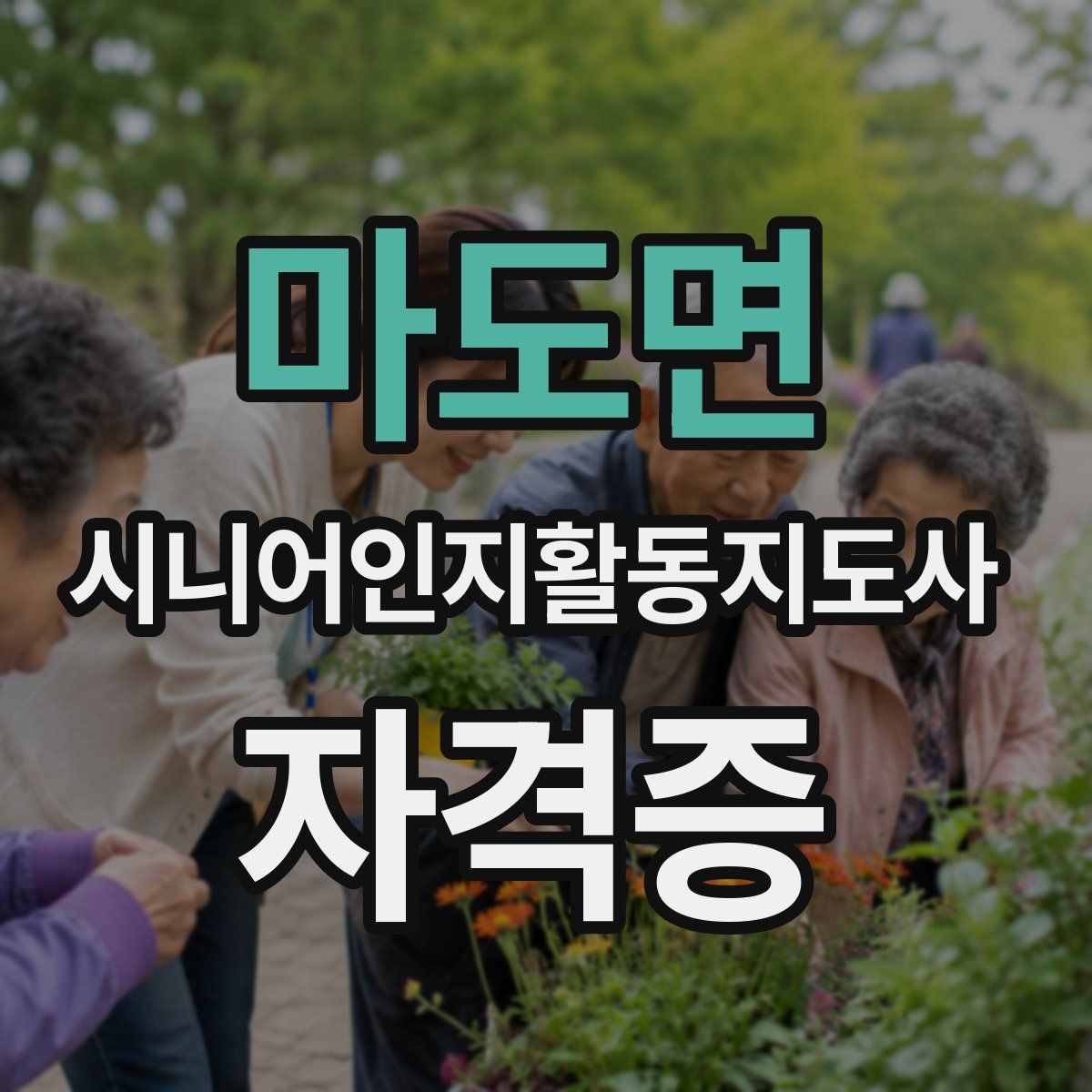 마도면 시니어인지활동지도사 자격증