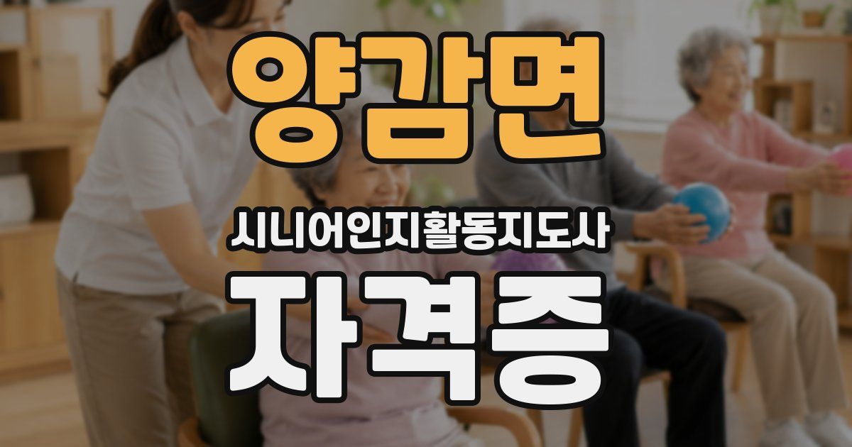 양감면 시니어인지활동지도사 자격증