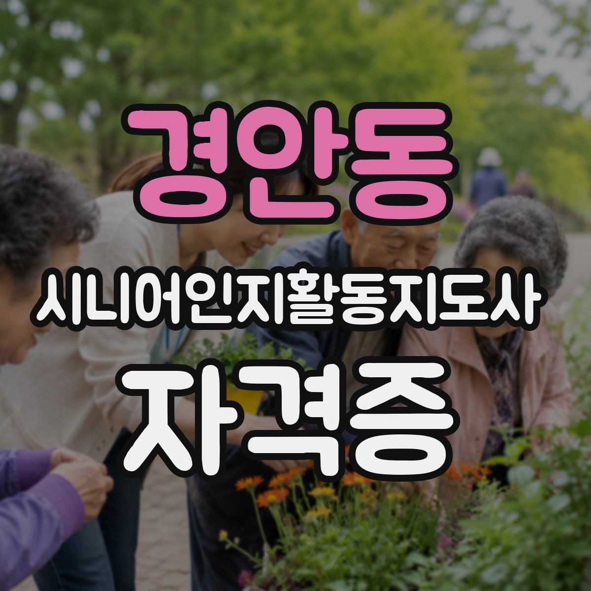경안동 시니어인지활동지도사 자격증