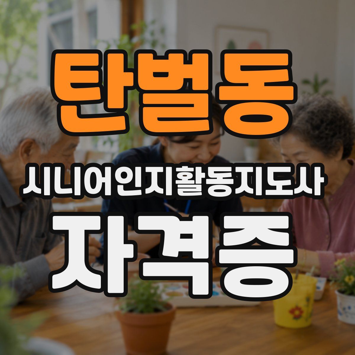 탄벌동 시니어인지활동지도사 자격증
