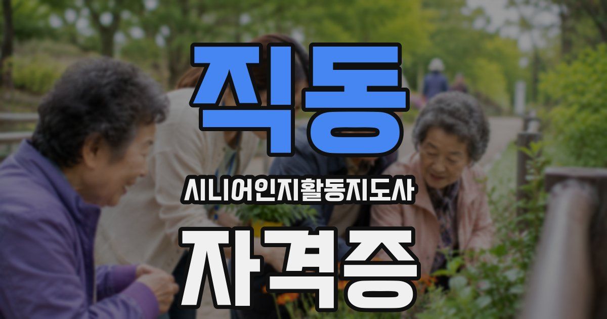 직동 시니어인지활동지도사 자격증