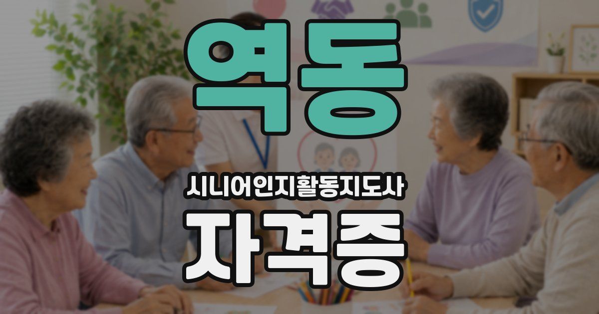 역동 시니어인지활동지도사 자격증