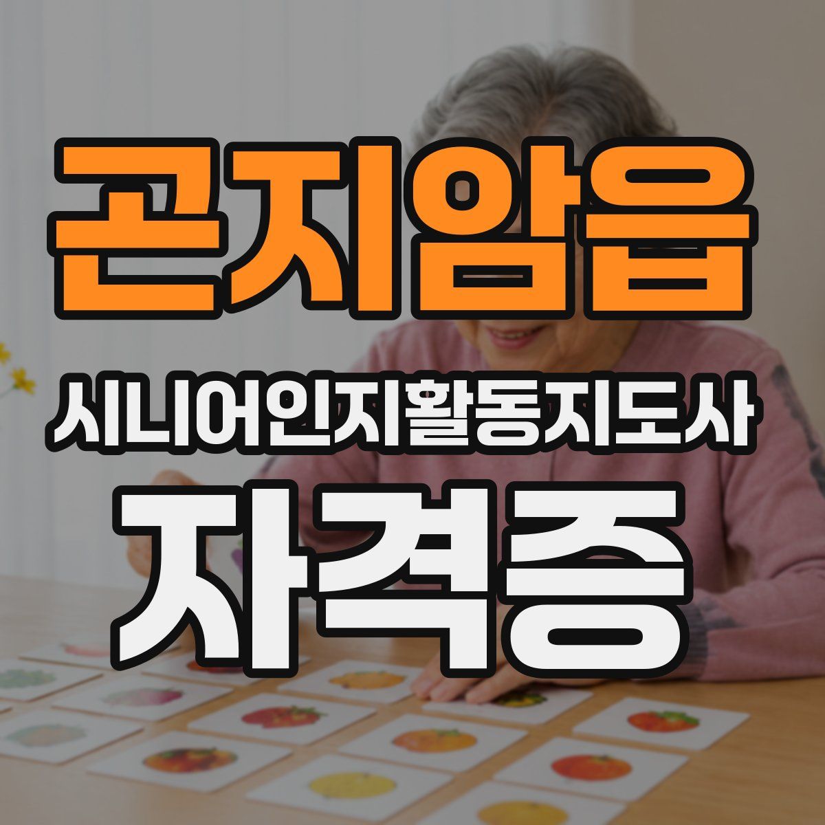 곤지암읍 시니어인지활동지도사 자격증