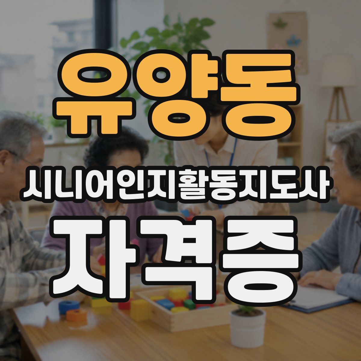 유양동 시니어인지활동지도사 자격증