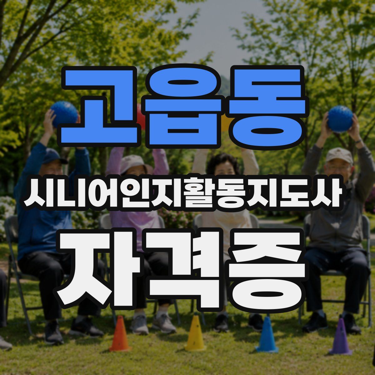 고읍동 시니어인지활동지도사 자격증