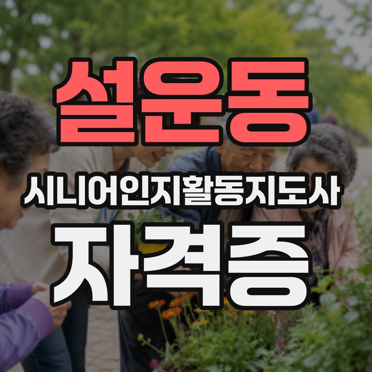 설운동 시니어인지활동지도사 자격증