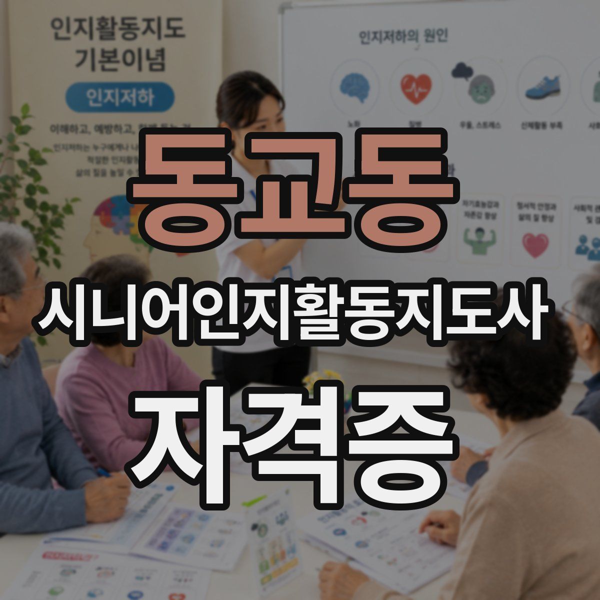 동교동 시니어인지활동지도사 자격증