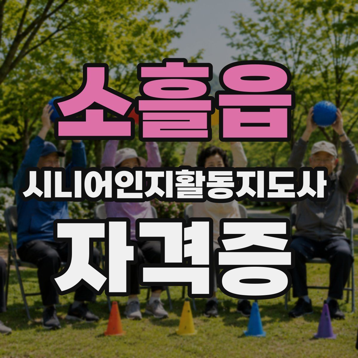 소흘읍 시니어인지활동지도사 자격증