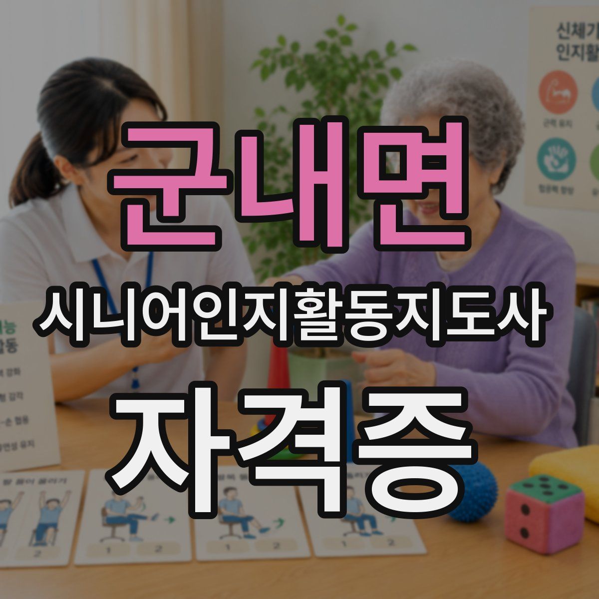 군내면 시니어인지활동지도사 자격증