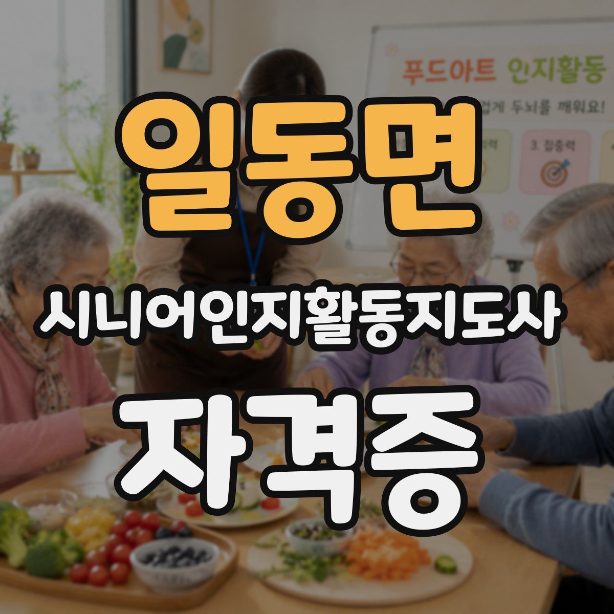 일동면 시니어인지활동지도사 자격증