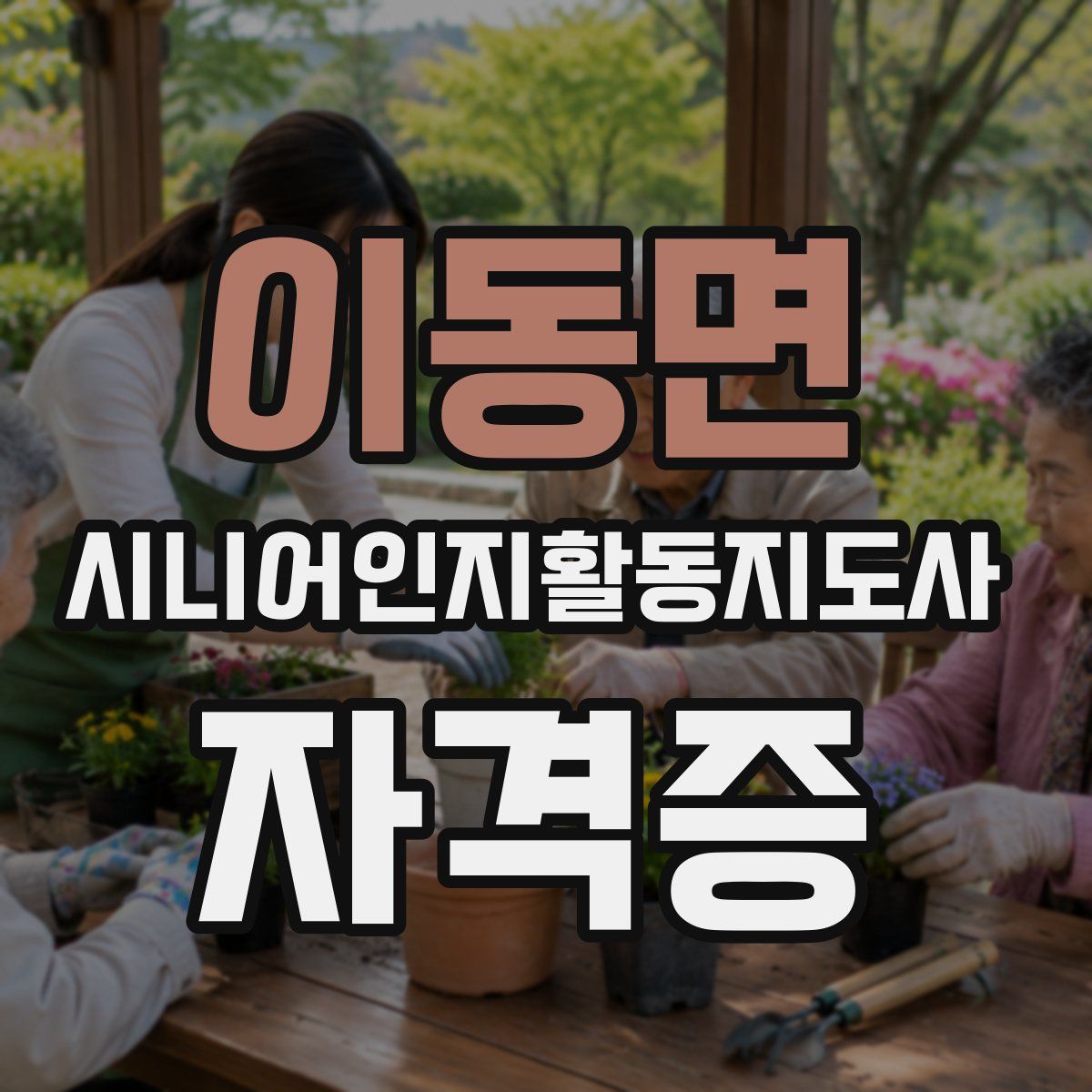 이동면 시니어인지활동지도사 자격증