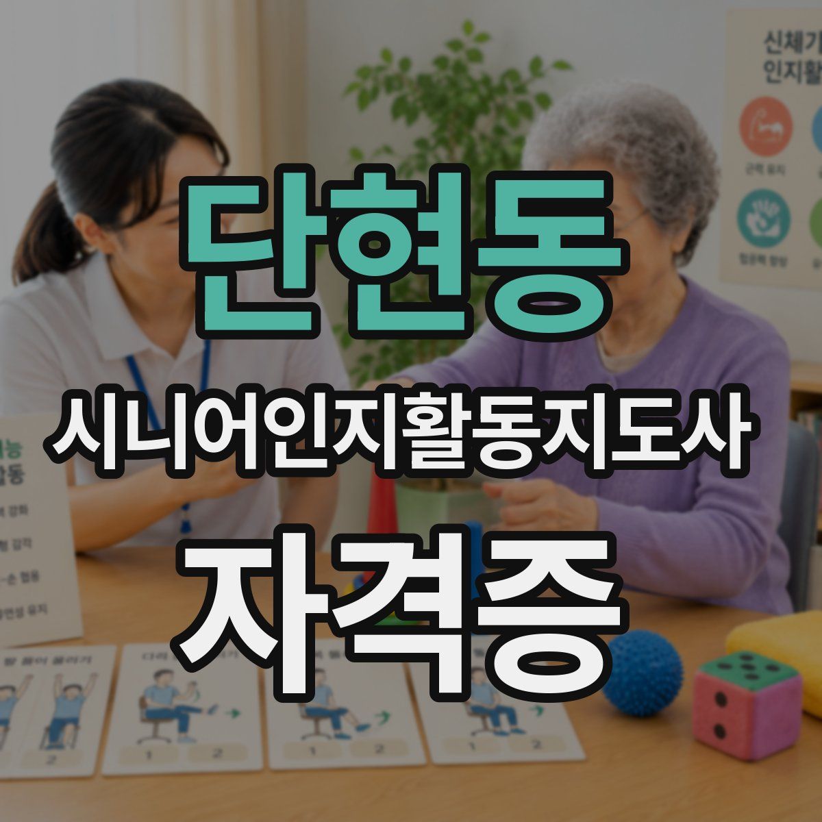 단현동 시니어인지활동지도사 자격증