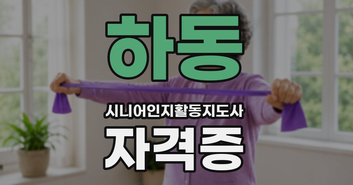 하동 시니어인지활동지도사 자격증