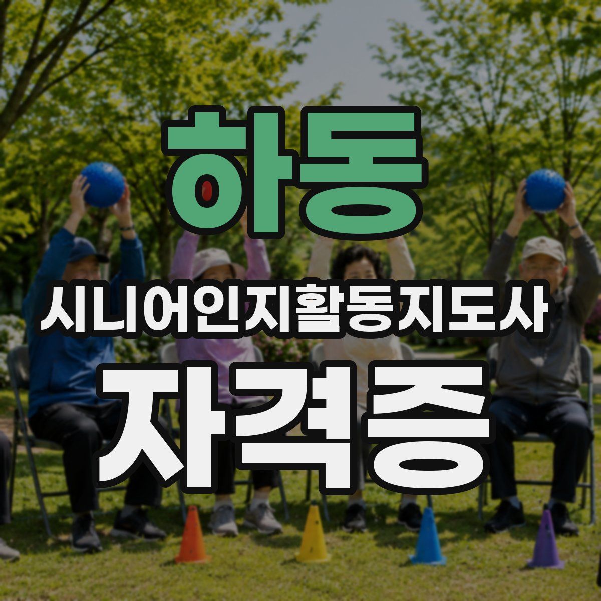 하동 시니어인지활동지도사 자격증