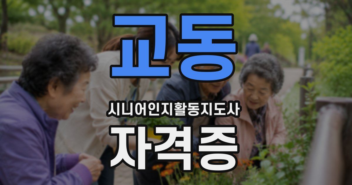 교동 시니어인지활동지도사 자격증