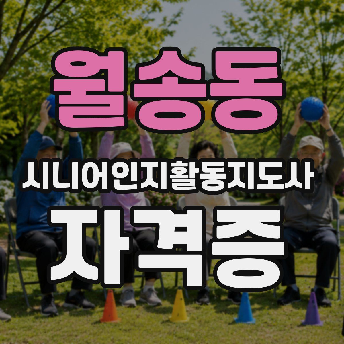 월송동 시니어인지활동지도사 자격증