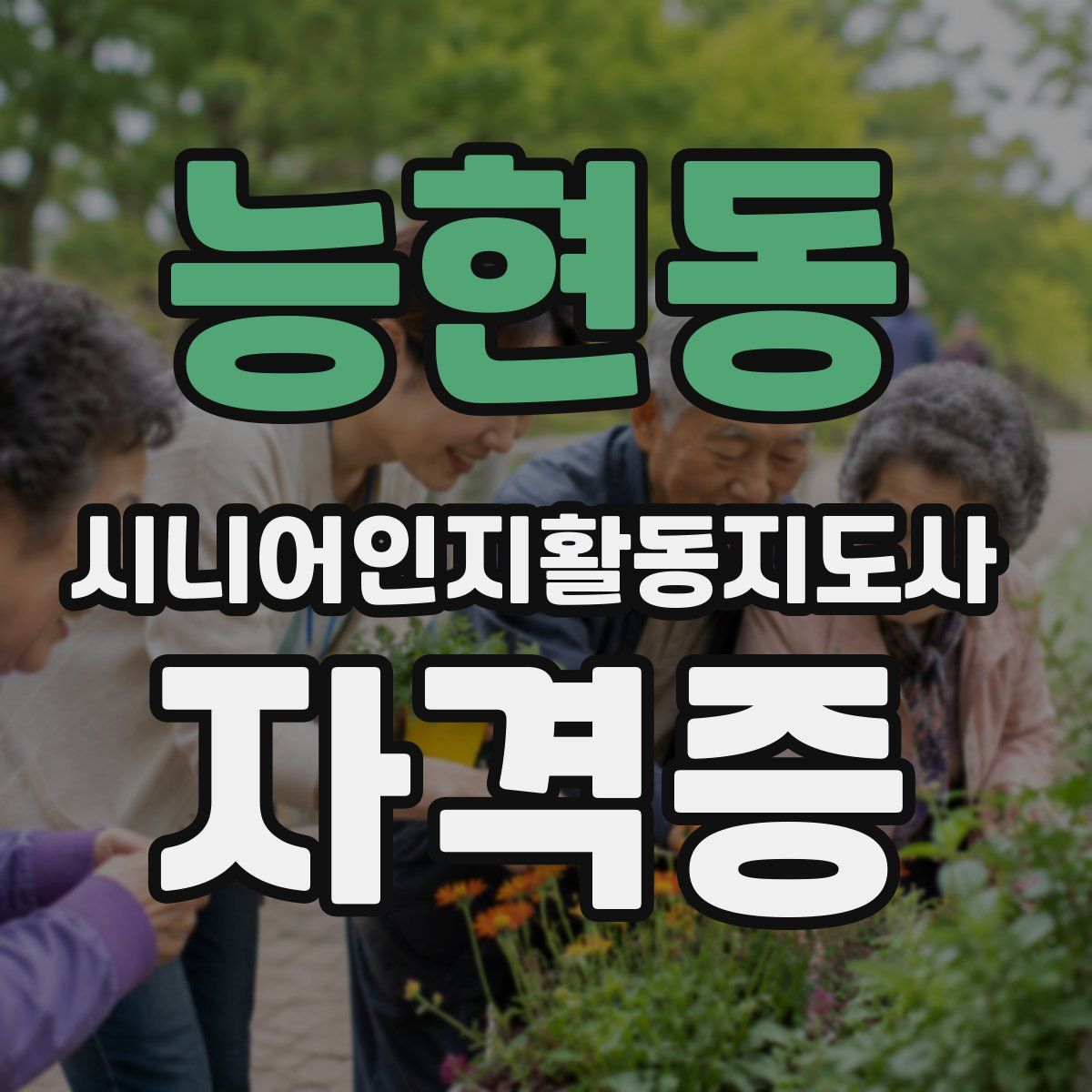 능현동 시니어인지활동지도사 자격증