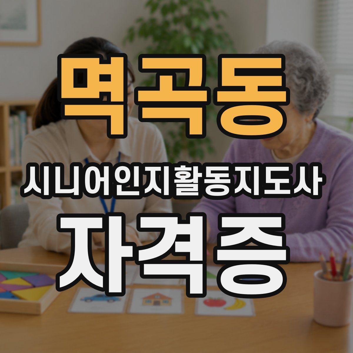멱곡동 시니어인지활동지도사 자격증