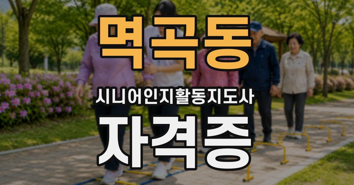 멱곡동 시니어인지활동지도사 자격증