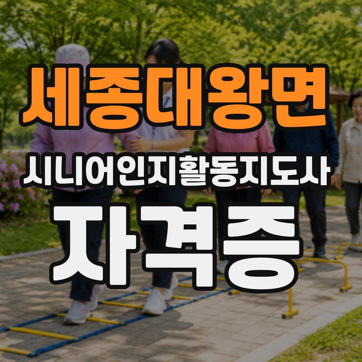 세종대왕면 시니어인지활동지도사 자격증