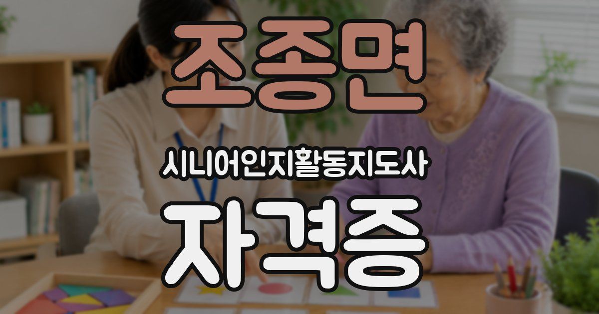 조종면 시니어인지활동지도사 자격증