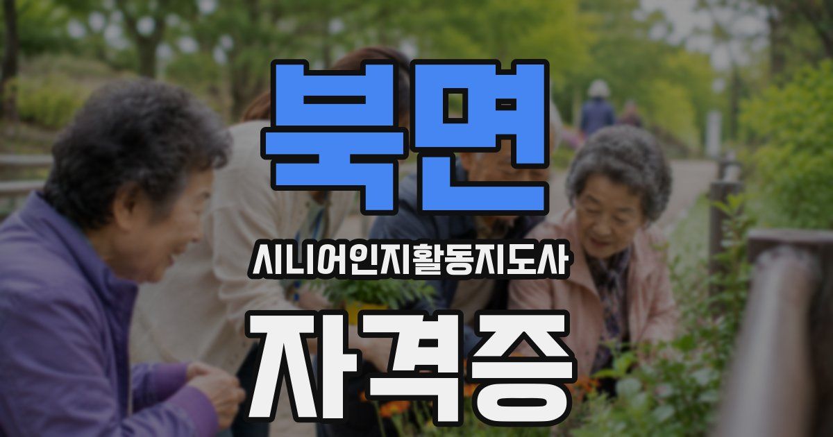 북면 시니어인지활동지도사 자격증