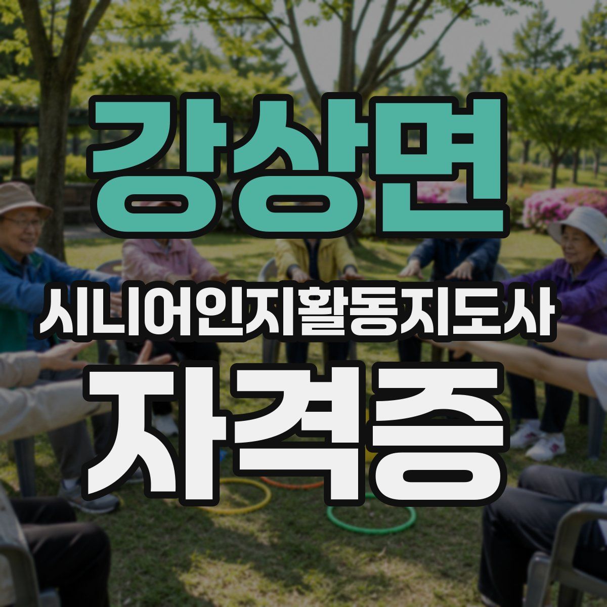 강상면 시니어인지활동지도사 자격증