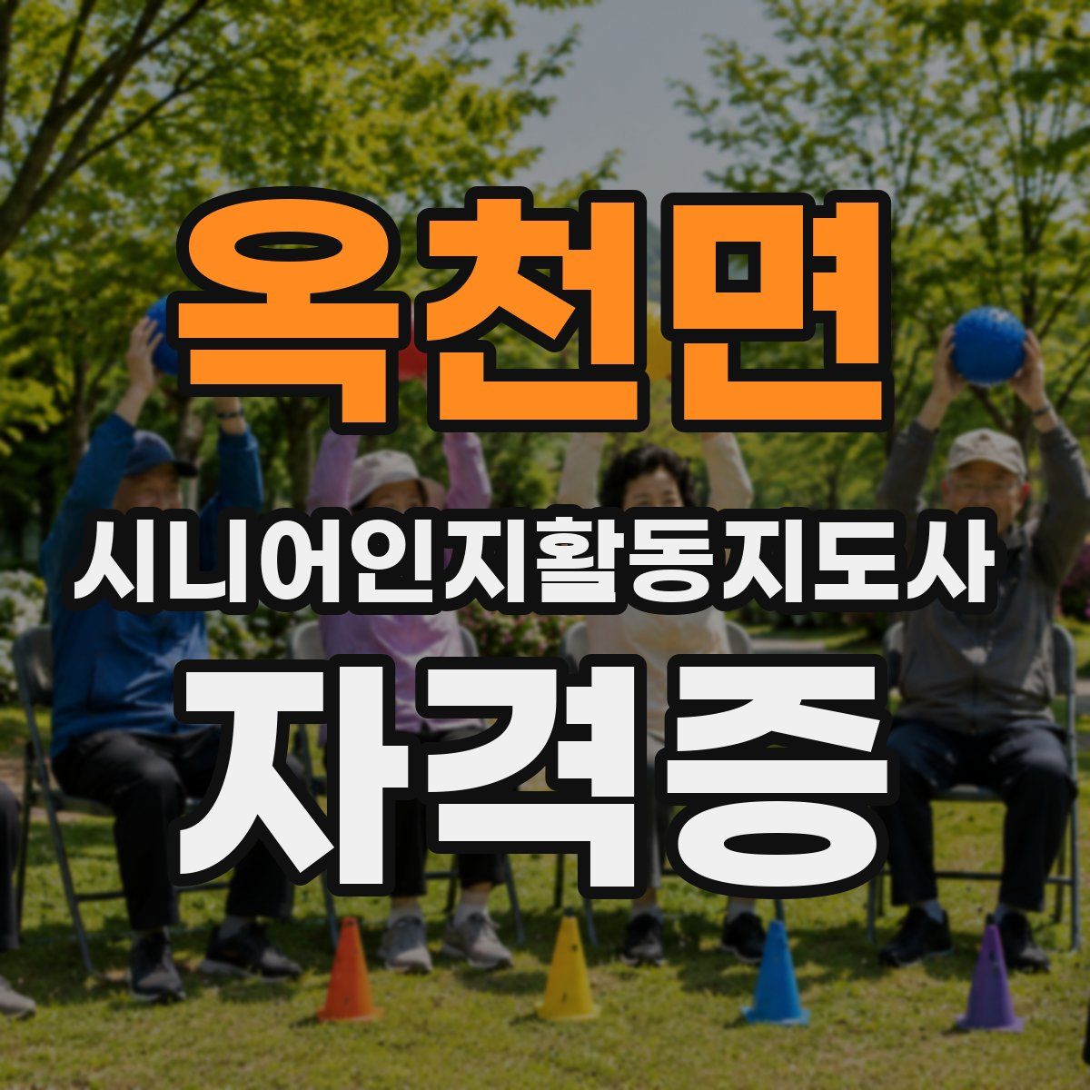 옥천면 시니어인지활동지도사 자격증