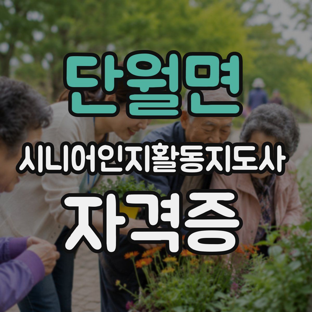 단월면 시니어인지활동지도사 자격증