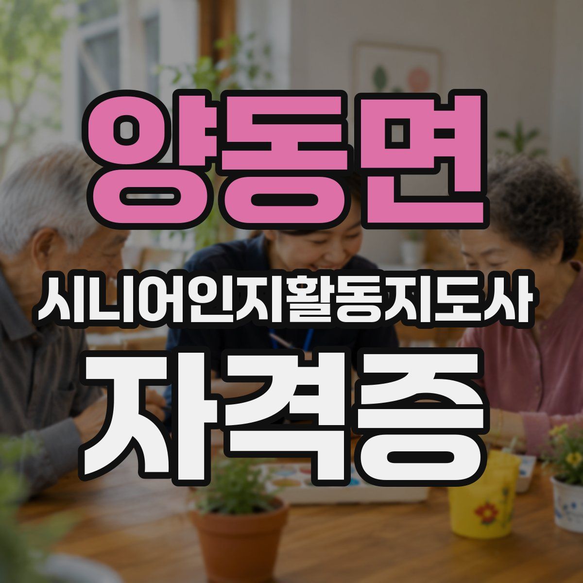양동면 시니어인지활동지도사 자격증