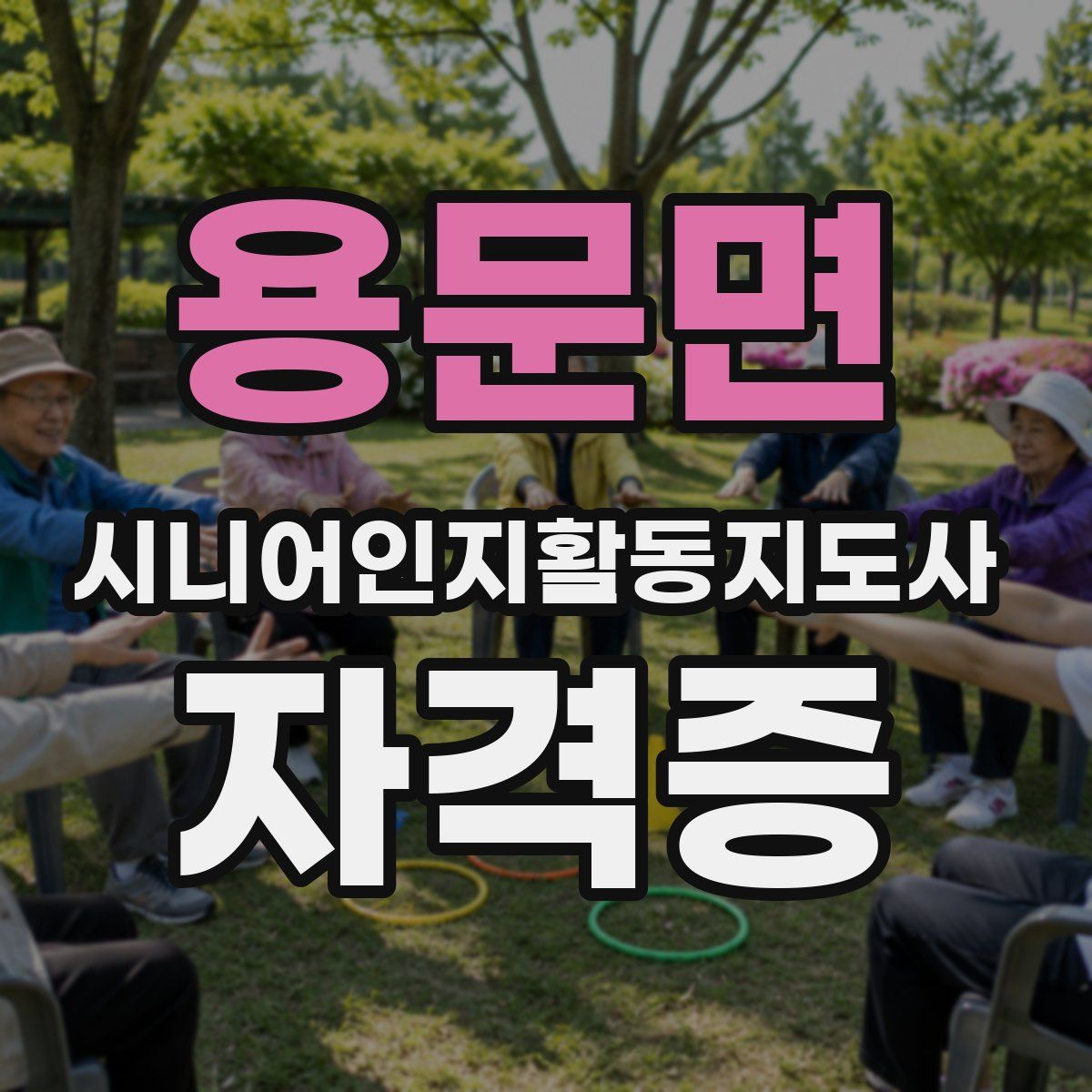 용문면 시니어인지활동지도사 자격증