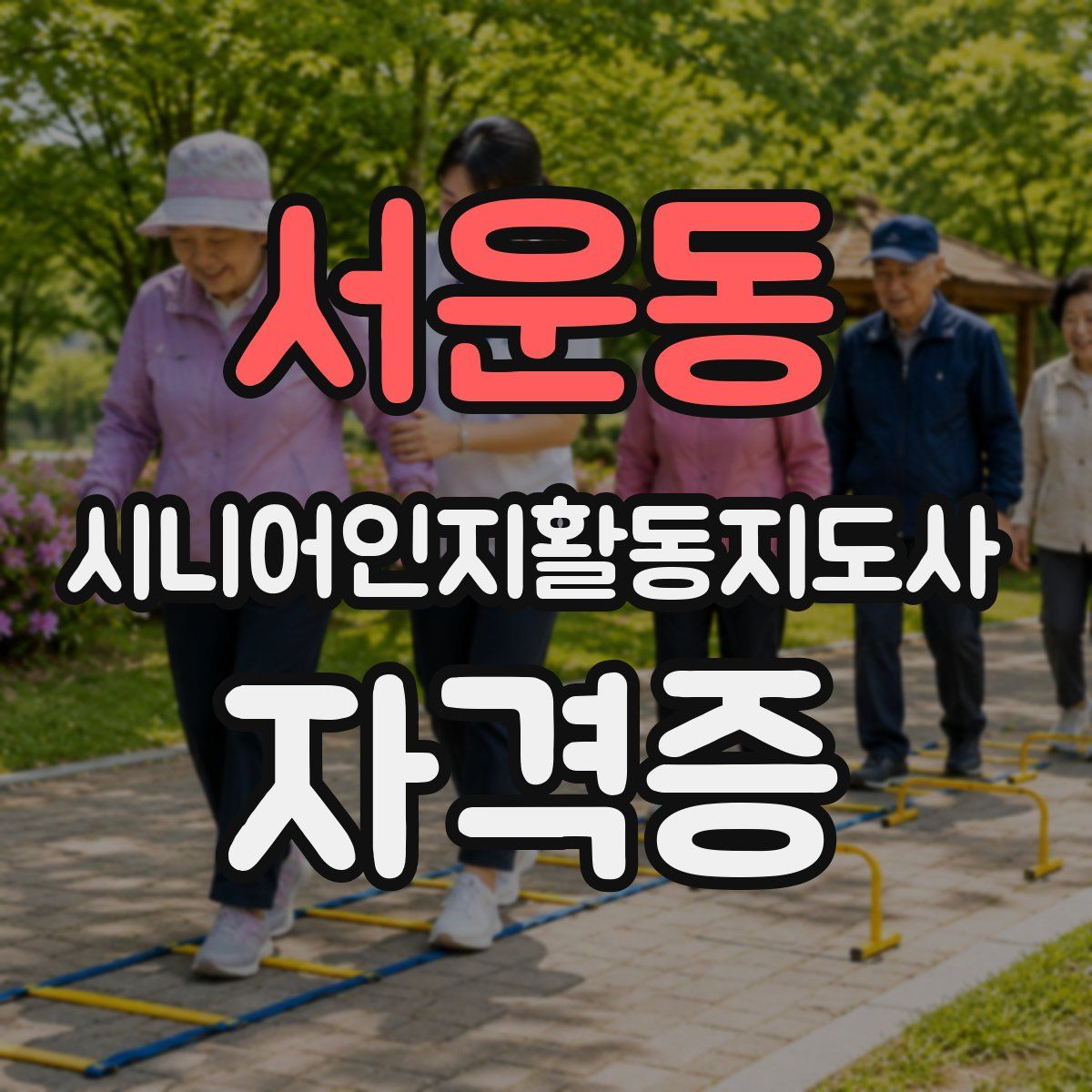 서운동 시니어인지활동지도사 자격증