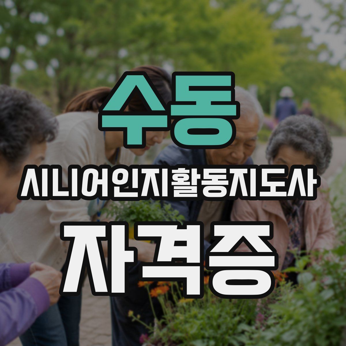 수동 시니어인지활동지도사 자격증
