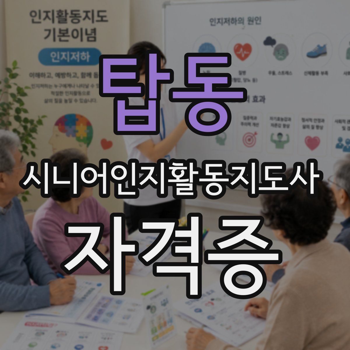 탑동 시니어인지활동지도사 자격증