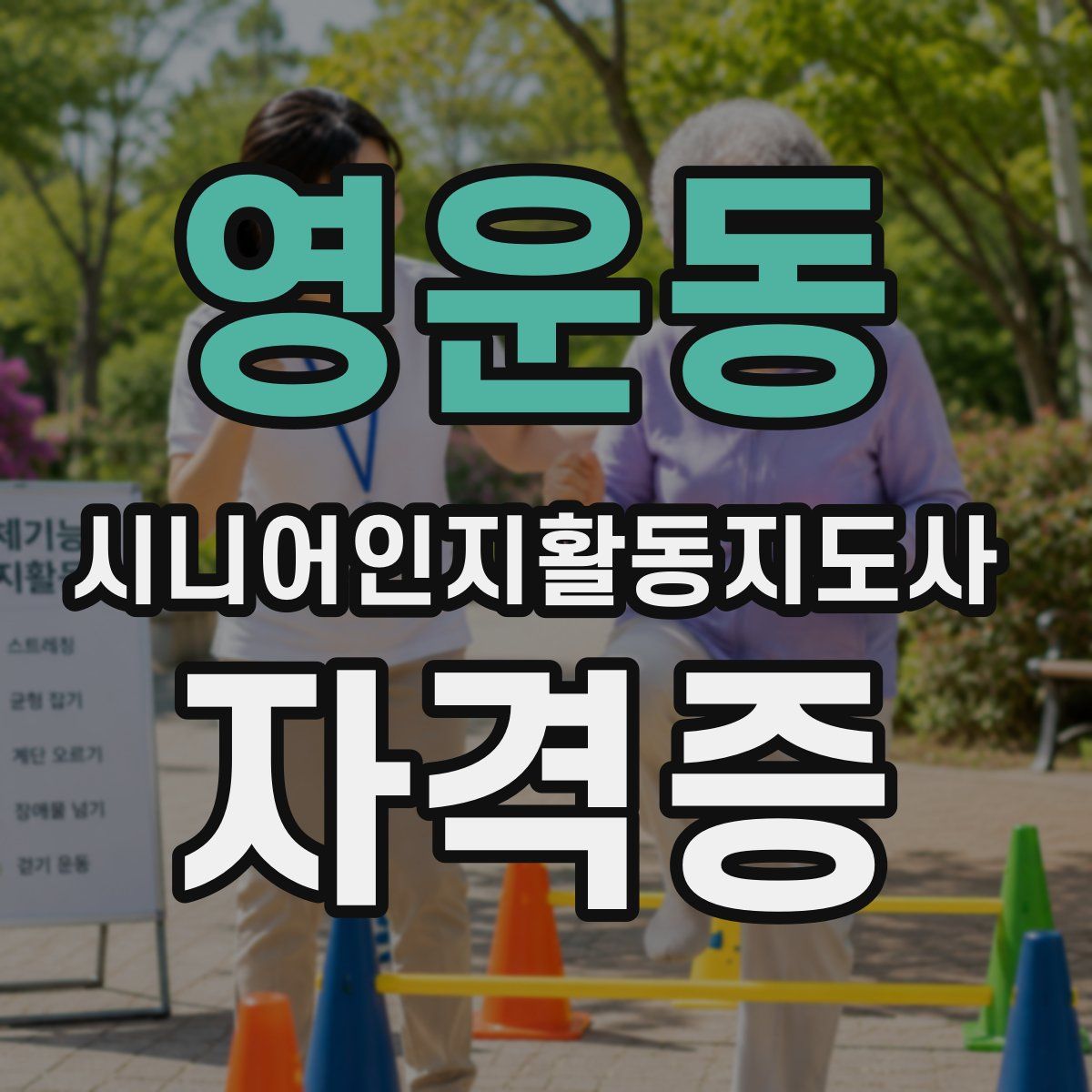 영운동 시니어인지활동지도사 자격증