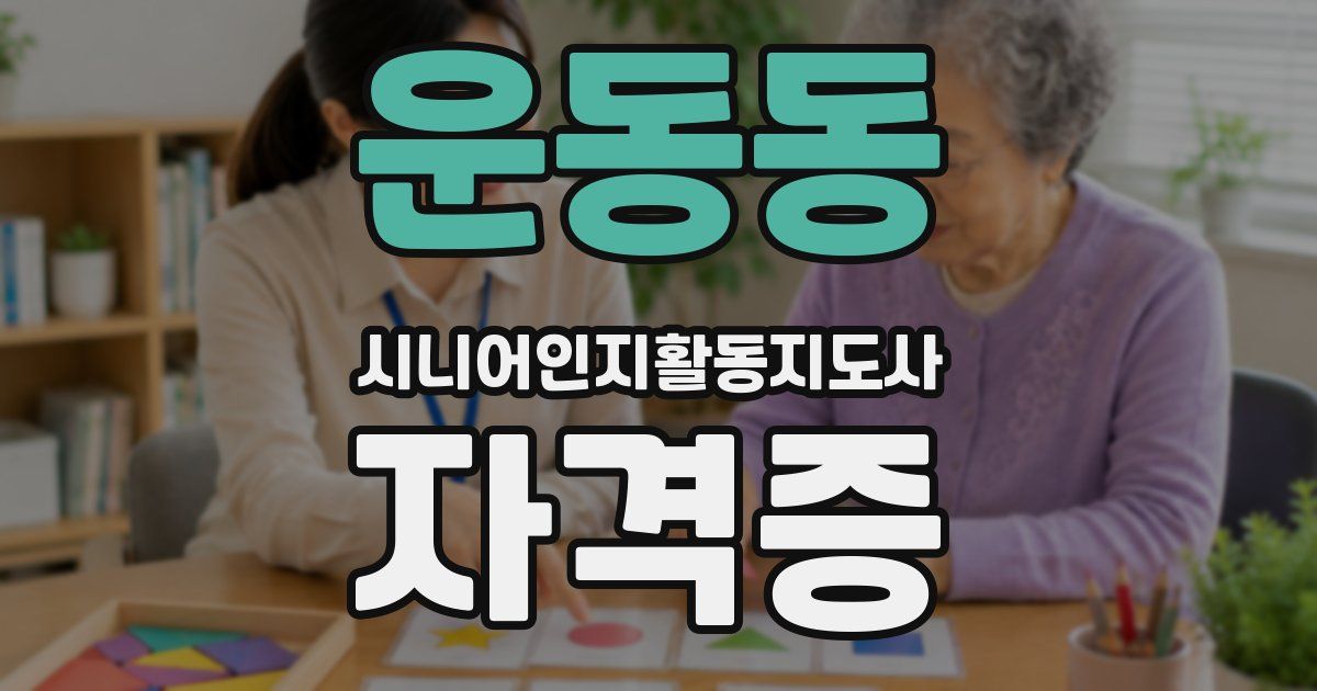 운동동 시니어인지활동지도사 자격증