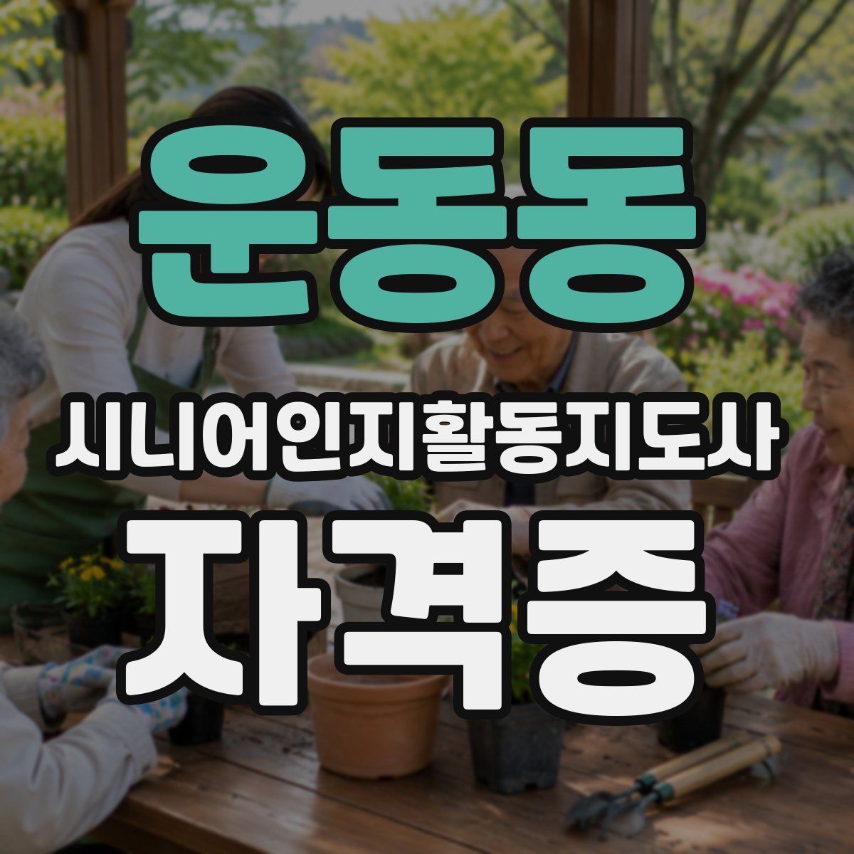 운동동 시니어인지활동지도사 자격증