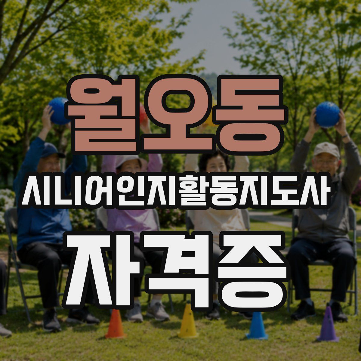 월오동 시니어인지활동지도사 자격증