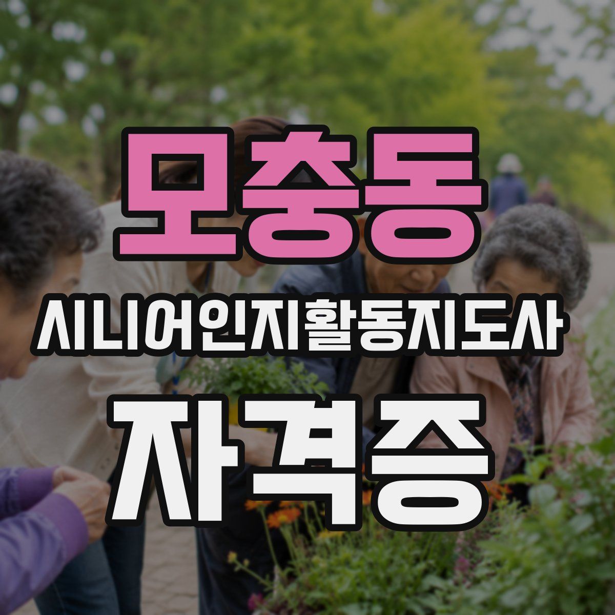 모충동 시니어인지활동지도사 자격증