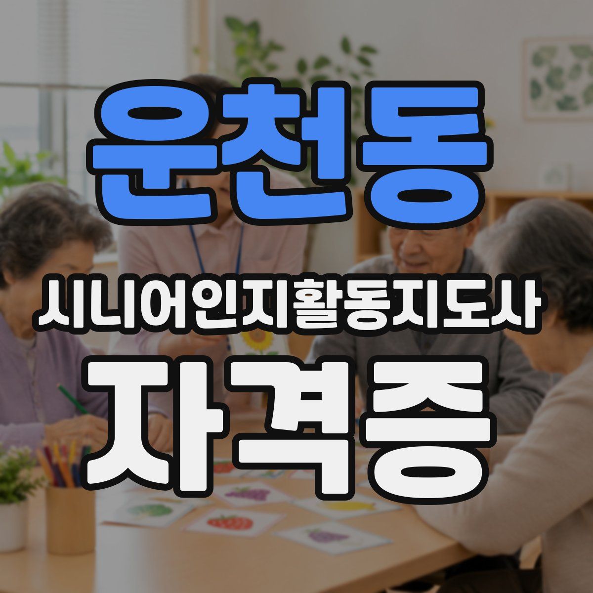 운천동 시니어인지활동지도사 자격증