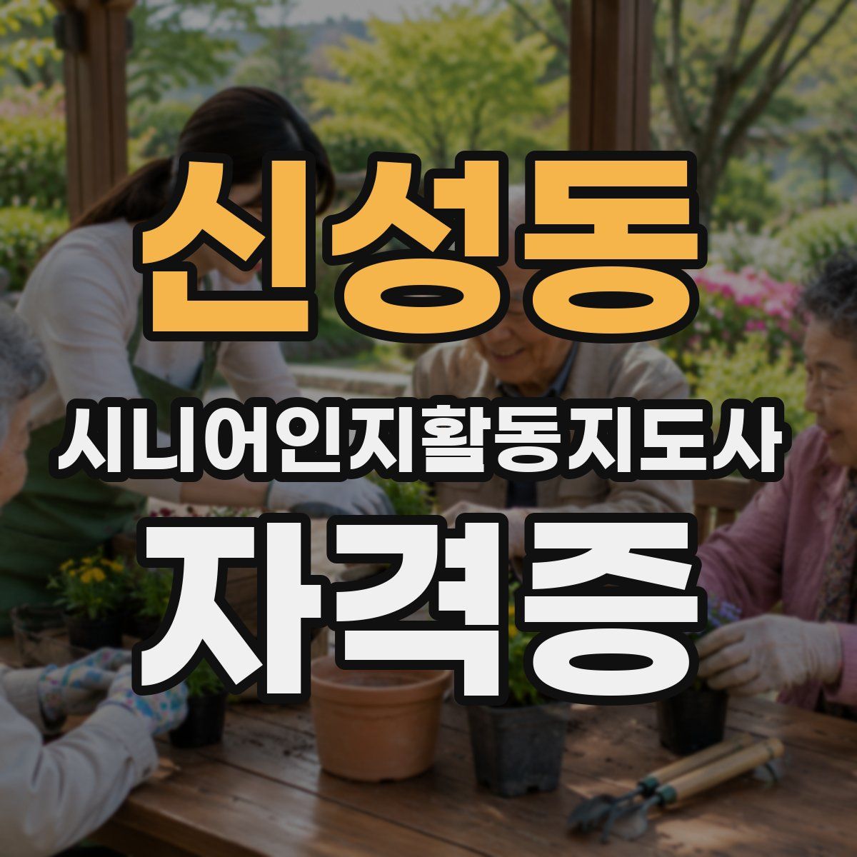 신성동 시니어인지활동지도사 자격증